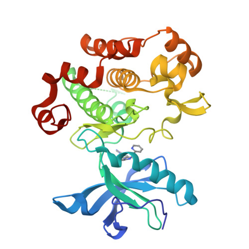 IGF-I R蛋白,IGF-I R