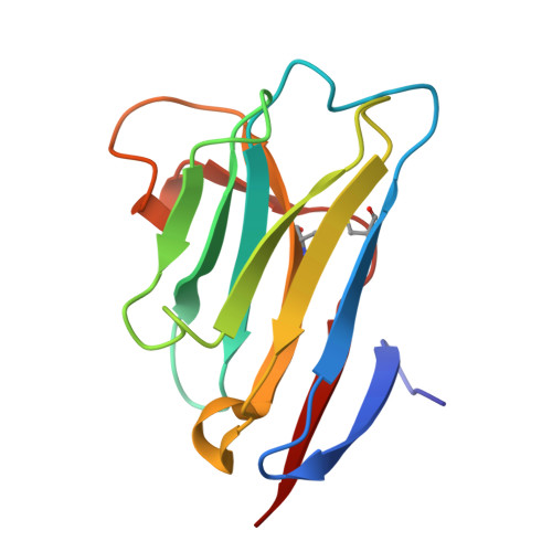 人IL-17A蛋白,IL-17A