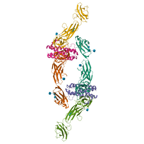 IL-11RA蛋白,IL-11RA