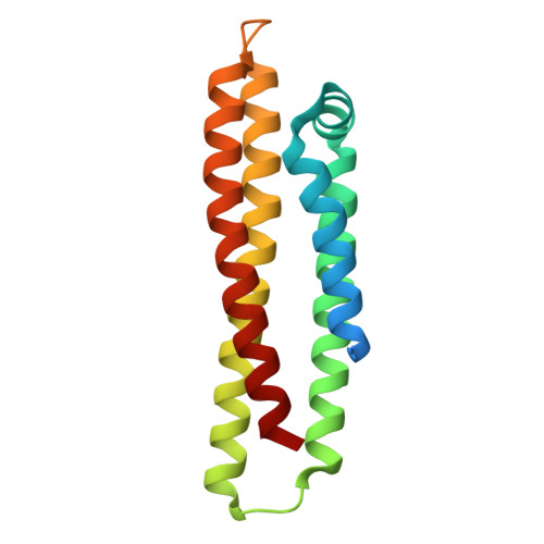 APOE蛋白,Apolipoprotein E