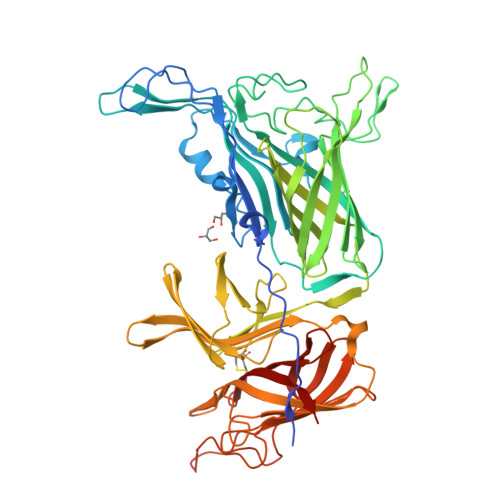 Transferrin蛋白,Transferrin