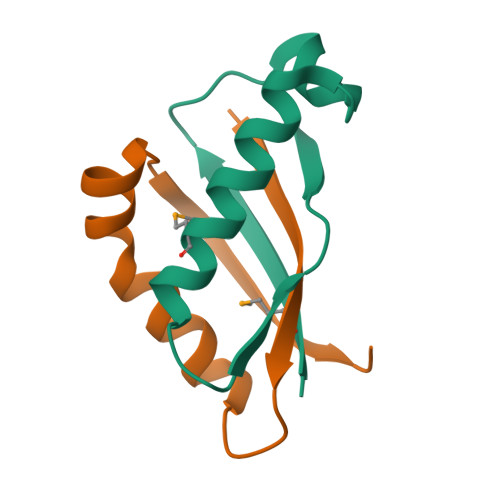 Mucin-1蛋白,Mucin-1