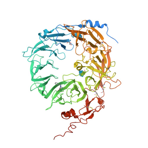 PGRN蛋白,Progranulin