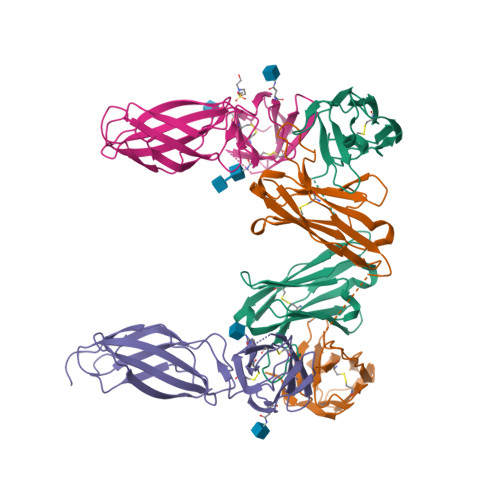 IL-31RA蛋白,IL-31RA