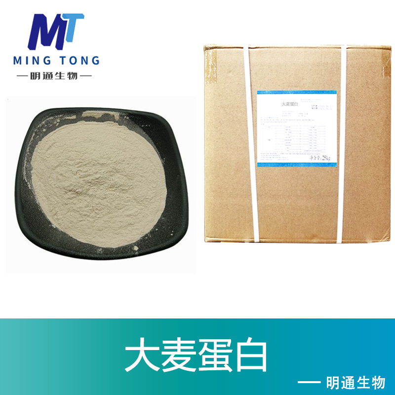 大麦蛋白,barley protein