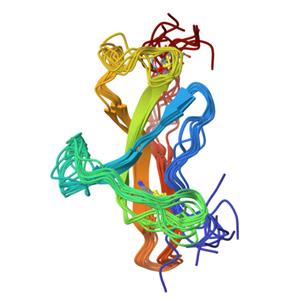 重组人TGF-Beta 1 / TGFB1蛋白, premium grade