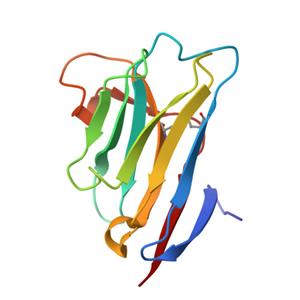 人IL-17A / CTLA-8蛋白, His, Avitag