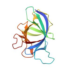 人IL-1 beta / IL-1F2蛋白, premium grade