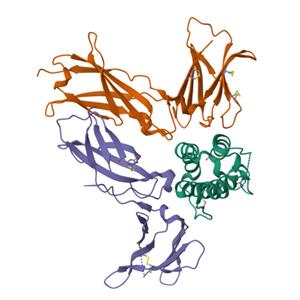 TSLP R重组蛋白，ACROBiosystems百普赛斯
