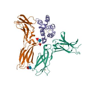 小鼠IL-10蛋白-ACROBiosystems百普赛斯