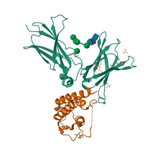 小鼠IL-21蛋白-ACROBiosystems百普赛斯