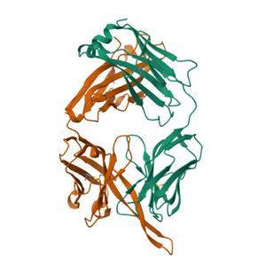 小鼠PCSK9蛋白-ACROBiosystems百普赛斯