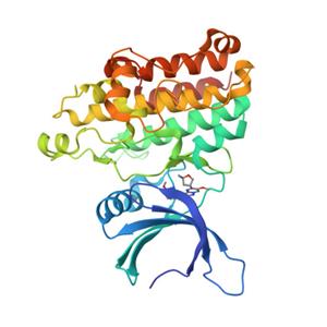 重组人TGF-beta RII / TGFBR2蛋白