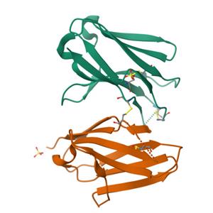 CD79B重组蛋白，ACROBiosystems百普赛斯