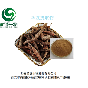 荜芨提取物 胡椒碱 尚诚生物