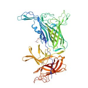 重组人Transferrin蛋白, premium grade