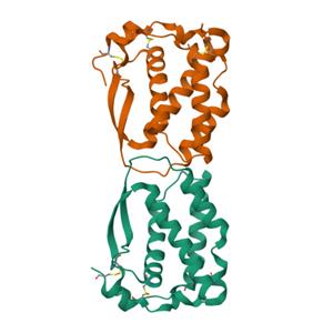 重组人M-CSF/CSF-1蛋白-ACROBiosystems百普赛斯