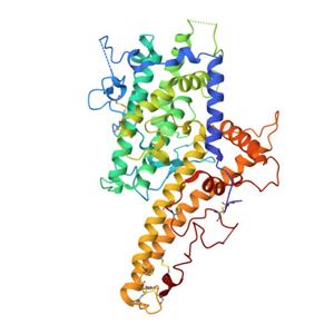 小鼠ICAM-1蛋白-ACROBiosystems百普赛斯
