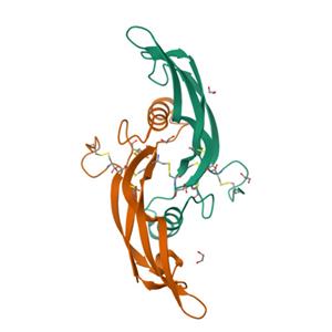 GDF15重组蛋白，ACROBiosystems百普赛斯
