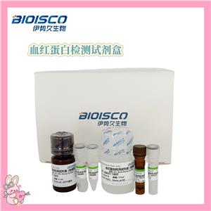 血红蛋白检测试剂盒