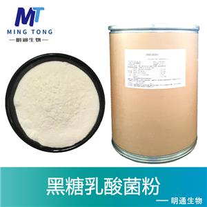 黑糖乳酸菌粉,Black sugar lactobacillus powder