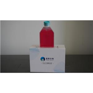 人原髓细胞白血病细胞；HL-60(STR),HL-60