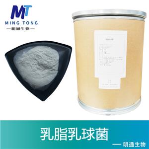 乳脂乳球菌生产厂家