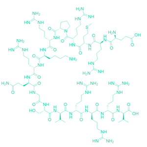 底物肽PKCε; PRKCE ; Peptide Epsilon/120253-69-2/Protein Kinase C Peptide Substrate