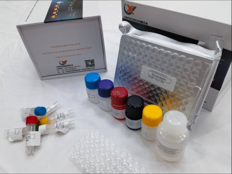 小鼠柯萨奇病毒A16抗体(CA16-AB)ELISA试剂盒,Mouse Coxsackievirus A16 Antibody ELISA Kit