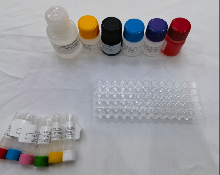 免费代测 小鼠肿瘤坏死因子配体超家族成员13 (TNFSF13) ELISA试剂盒,Mouse TNFSF13(Tumor necrosis factor ligand superfamily member 13) ELISA Kit