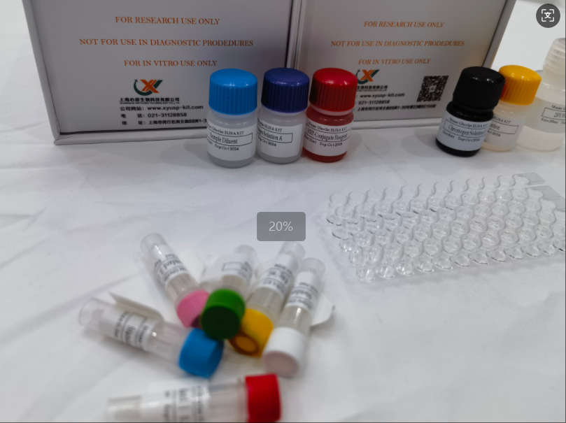 免费代测 小鼠突触体相关蛋白25（SNAP25）ELISA试剂盒,Mouse Snap25(Synaptosomal-associated protein 25) ELISA Kit