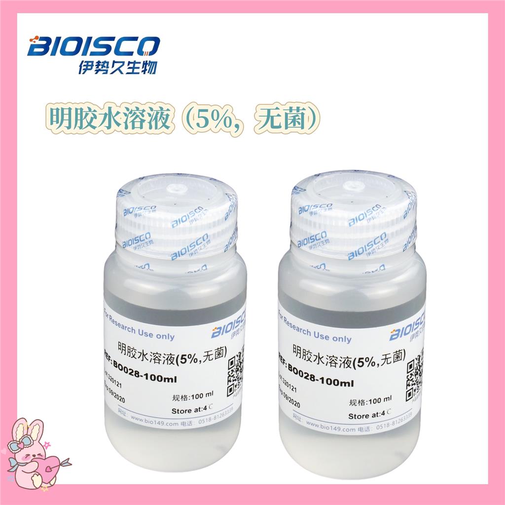 明胶水溶液(5%,无菌),Gelatin aqueous solution (5%, sterile)