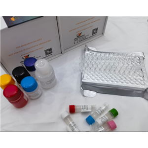 免费代测 小鼠8-羟基脱氧鸟苷 (8-OHdG) ELISA试剂盒,Mouse 8-OHdG(8-Hydroxydeoxyguanosine) ELISA Kit