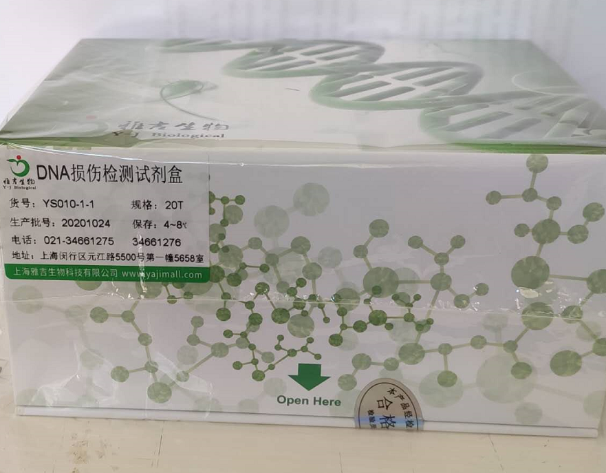 猪腺病毒探针法荧光定量PCR试剂盒,Porcine Adenovirus(Swine Adenovirus)