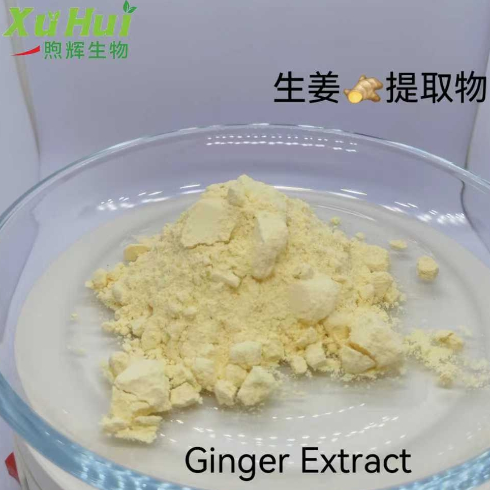 生姜提取物,Ginger Root  Extract