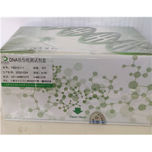 牛传染性鼻气管炎病毒探针法荧光定量PCR试剂盒