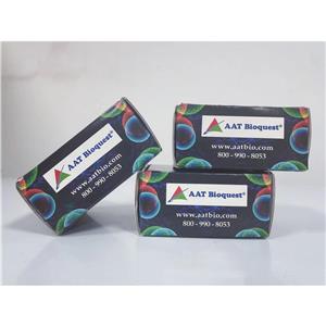 Cell Meter?核细胞凋亡检测试剂盒 *绿色荧光*,Cell Meter? Nuclear Apoptosis Assay Kit *Green Fluorescence Optimized for Flow Cytometry*