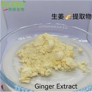 生姜提取物,Ginger Root  Extract