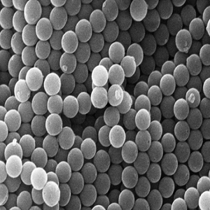 单分散多孔介孔二氧化硅微球,Monodisperse Mesoporous Silica Spheres