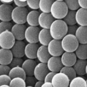 氨基化单分散多孔介孔二氧化硅微球,Amino-functionalized Monodisperse Mesoporous Silica Microspheres