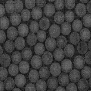 羧基化单分散多孔介孔二氧化硅微球,Carboxyl-functionalized Monodisperse Mesoporous Silica Microspheres