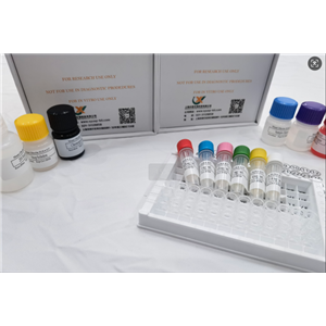 小鼠基质金属蛋白酶14(MMP-14)ELISA试剂盒,Mouse MMP14 (Matrix Metalloproteinase-14) QuickTest ELISA Kit