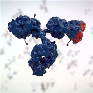 人整合素Integrin αvβ1, His Tag&Tag Free