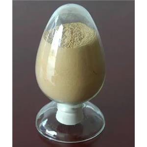 N-苯基甲基丙烯酰胺