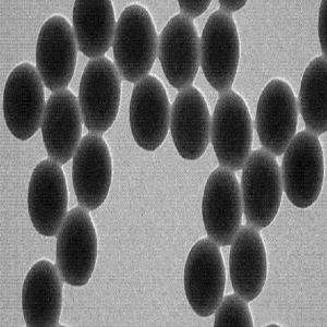生物素修饰二氧化硅微球，Biotinylated Silica Microspheres