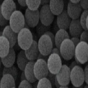 聚苯乙烯微球粉末20nm-200um,PS Microspheres Powder