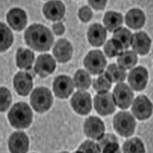氨基磁性纳米颗粒(APTES修饰),Aminated magnetic nanoparticles