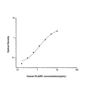 人磷脂酶A2受体1(PLA2R1)ELISA试剂盒 YB74181Hu,PLA2R1