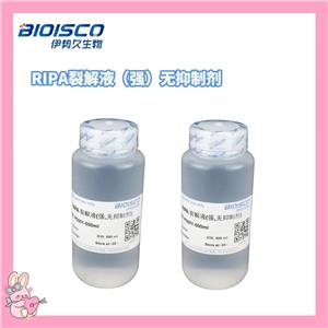 RIPA裂解液（强）无抑制剂