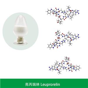 亮丙瑞林,Leuprorelin